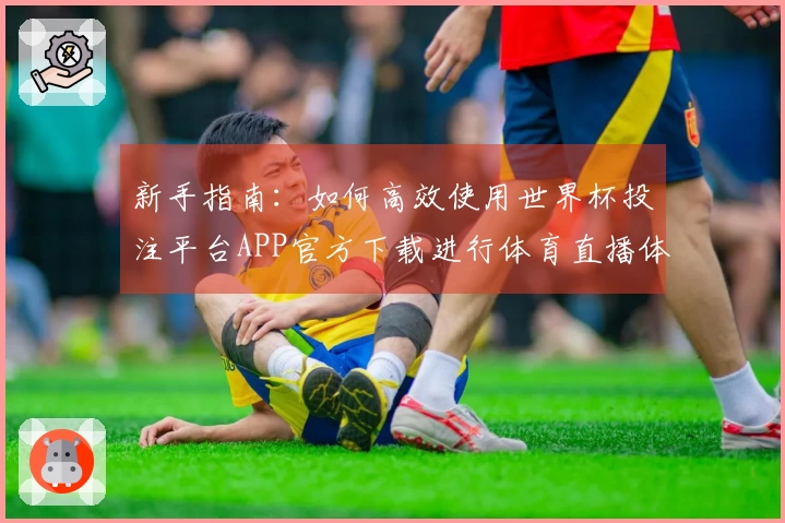 新手指南：如何高效使用世界杯投注平台APP官方下载进行体育直播体验